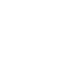 ce logo Wallingford